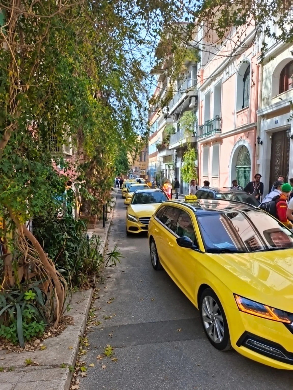 Yellow taxis along a tree-lined street in Athens